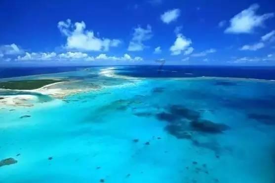 海底世界填颜色4
